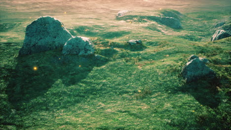 Almwiese-Mit-Felsen-Und-Grünem-Gras